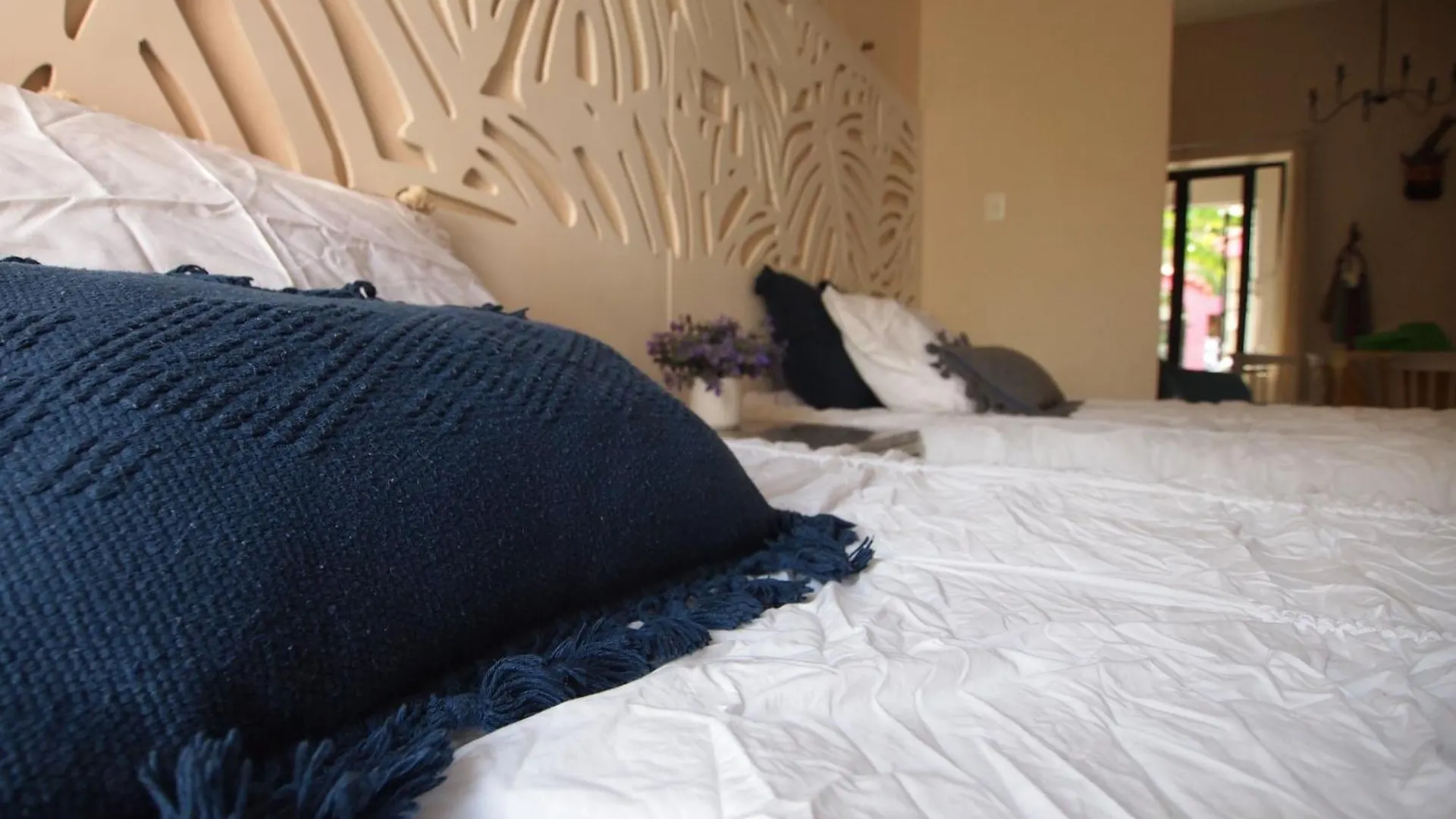 Villa Candita, A Unos Pasos Del Paseo Montejo Mérida 0*,  Mexiko