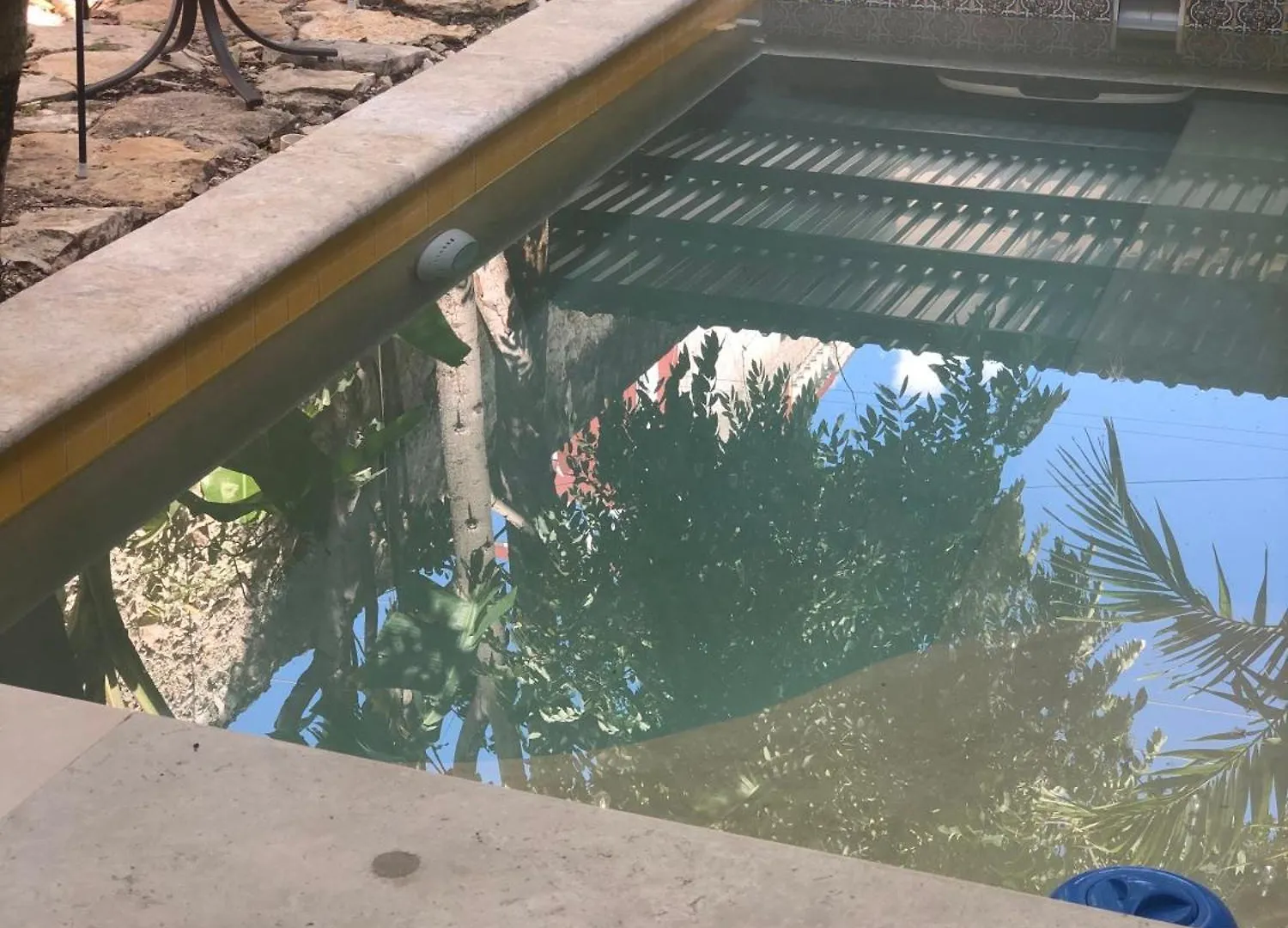 Villa Candita, A Unos Pasos Del Paseo Montejo Merida